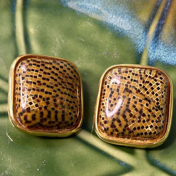Vintage Brown & Gold Tone Clip on Earrings - Picture 1 of 3